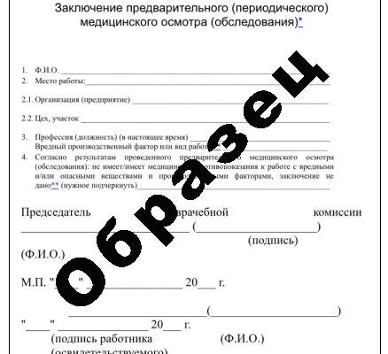 Как получить справку о профпригодности по приказу 29н