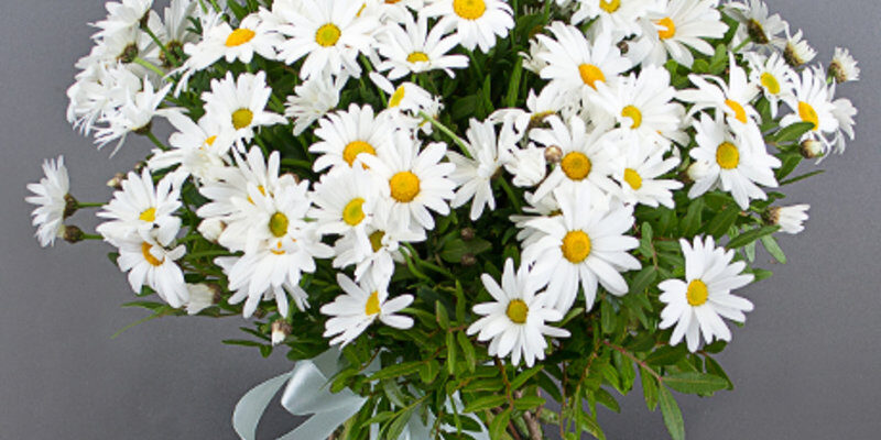 Букет ромашек: символика, особенности ухода и виды композиций