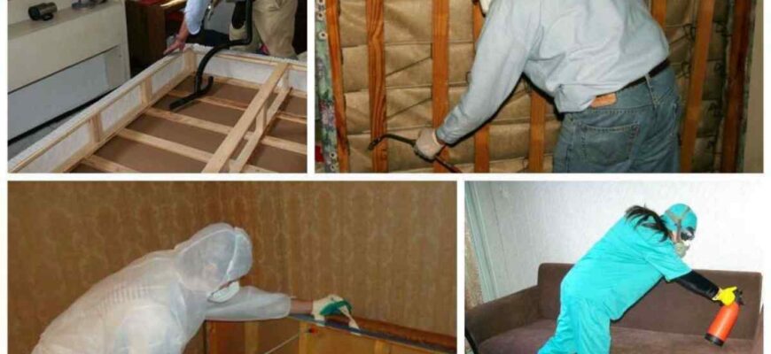 Как быстро и просто избавиться от клопов в квартире советы и методы Как быстро и просто избавиться от клопов в квартире советы и методы