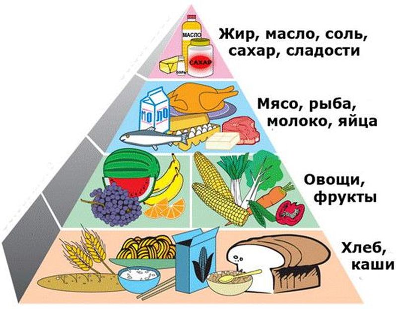 Разнообразие продукции: ключевой элемент успешного бизнеса